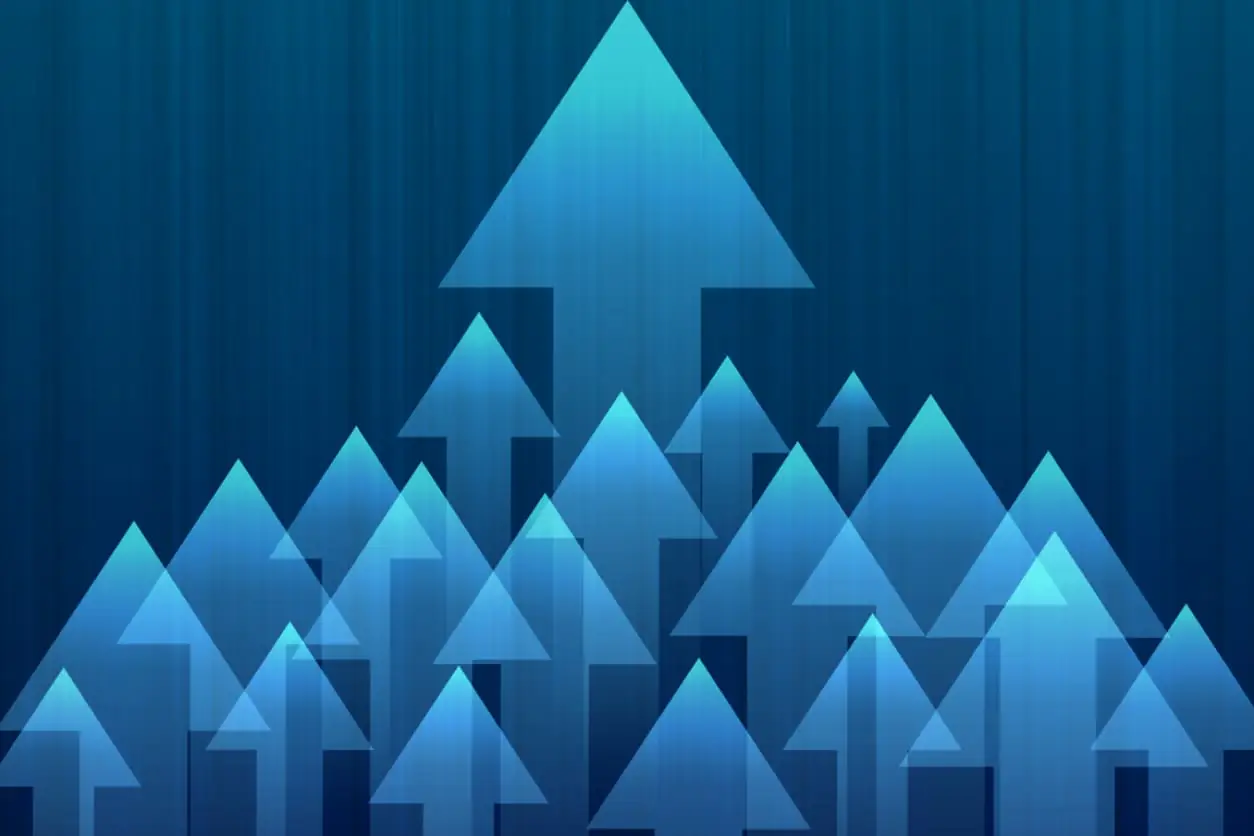 SEO Case Study Example